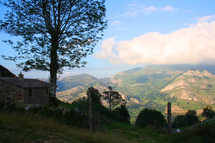 Vistas